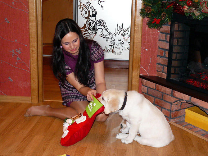 Любительские фото девушек домашние 147 штук