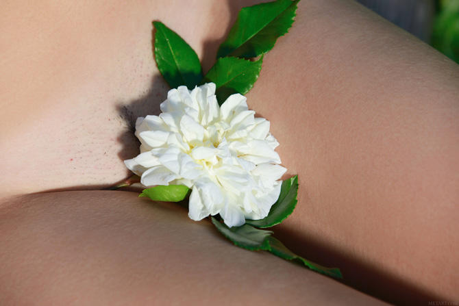 эротика в лесу