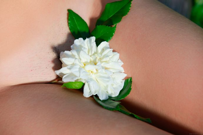 Брюнетка в лесу приходи отсосу